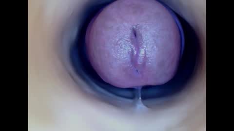 Snapshot of paulainoscente chatting on November 2025 11:16:01 PM Paula 18 Aninhos online show from November 2025 11:16:01 PM