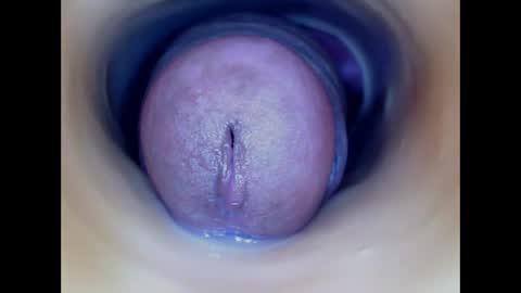 Paula 18 Aninhos online show from March 2026 05:18:02 PM