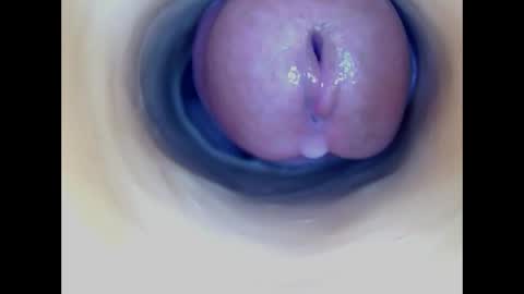 Paula 18 Aninhos online show from April 2026 08:03:01 PM