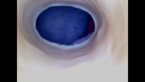 Paula 18 Aninhos online show from April 2026 05:30:01 PM