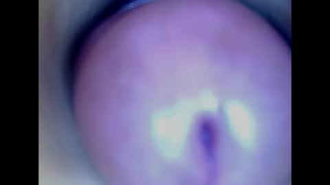 Paula 18 Aninhos online show from May 2026 02:40:01 AM