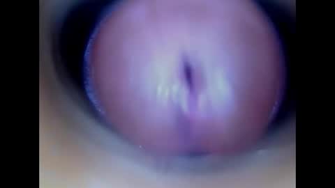 Paula 18 Aninhos online show from May 2026 01:51:01 PM