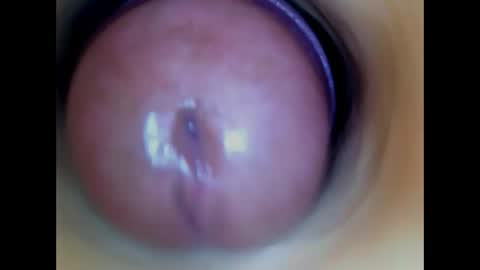 Paula 18 Aninhos online show from May 2026 01:57:16 AM