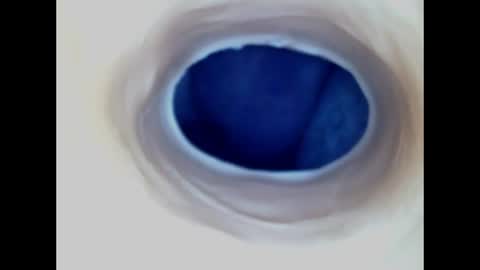 Paula 18 Aninhos online show from June 2026 02:24:02 AM