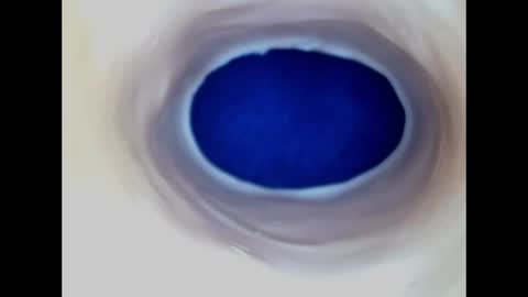 Paula 18 Aninhos online show from June 2026 05:06:01 PM