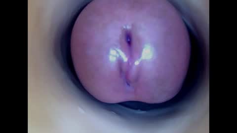 Paula 18 Aninhos online show from June 2026 12:37:01 AM