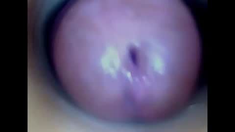 Paula 18 Aninhos online show from July 2026 02:09:01 PM