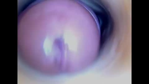 Paula 18 Aninhos online show from July 2026 02:48:02 AM