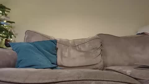 pugwall22 online show from December 2024 08:05:02 PM