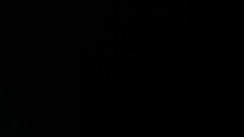 Paulina online show from July 2026 02:02:02 PM