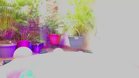 Paulina  online show from June 2026 07:39:02 PM