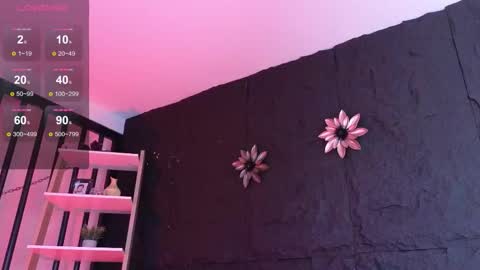 Snapshot of paulo527 chatting on January 2026 08:47:01 PM Paulo online show from January 2026 08:47:01 PM