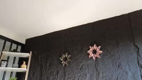 Snapshot of paulo527 chatting on January 2026 09:18:02 PM Paulo online show from January 2026 09:18:02 PM