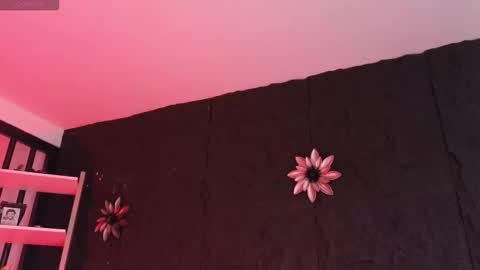 Snapshot of paulo527 chatting on February 2026 09:08:02 PM Paulo online show from February 2026 09:08:02 PM