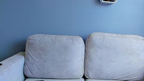 Paul Phoenix online show from January 2025 06:12:02 PM