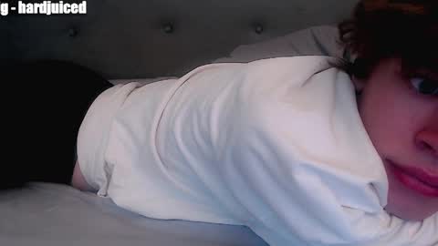 pawclaw online show from April 2026 02:39:01 AM