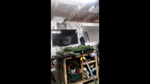 Snapshot of pawelniceguy chatting on January 2026 02:26:02 AM pawelniceguy online show from January 2026 02:26:02 AM