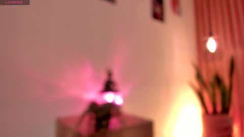 Dani online show from June 2026 01:35:01 PM