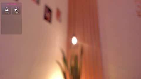 Dani online show from June 2026 01:48:02 PM