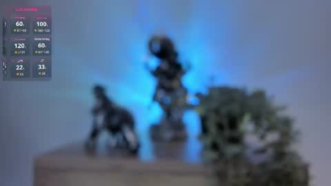 Dani online show from July 2026 12:55:01 PM