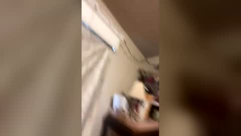 paytenspanties online show from March 2026 12:37:02 AM