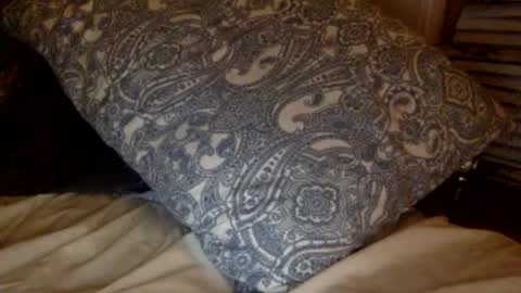 pea23 online show from February 2026 11:38:01 PM