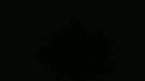 Snapshot of peavsters chatting on September 2025 08:28:02 AM Alex online show from September 2025 08:28:02 AM