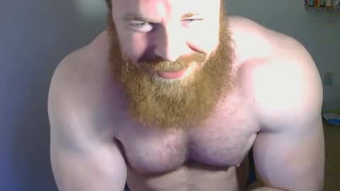 Pec inspector online show from January 2025 03:06:02 AM