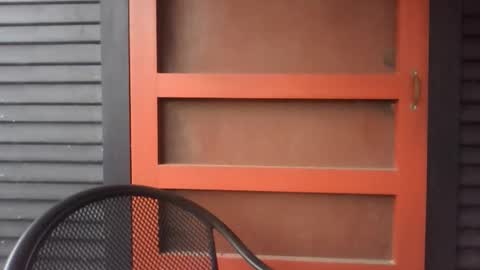 pecos8686 online show from November 2025 02:42:02 PM