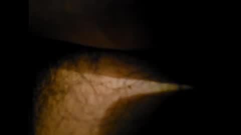 Snapshot of pedritu7 chatting on January 2025 12:31:02 AM Alex online show from January 2025 12:31:02 AM