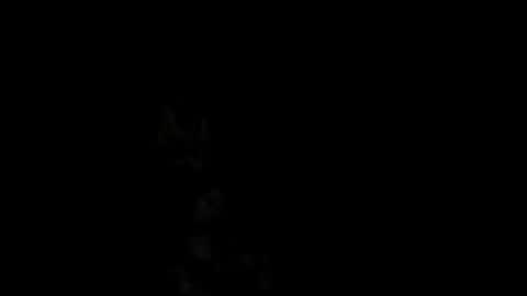 Snapshot of pedritu7 chatting on February 2025 01:00:02 PM Alex online show from February 2025 01:00:02 PM