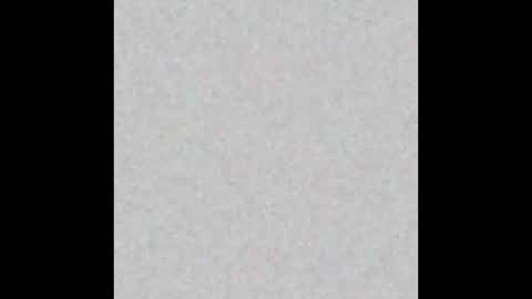 Pedro0h online show from February 2026 11:46:02 AM