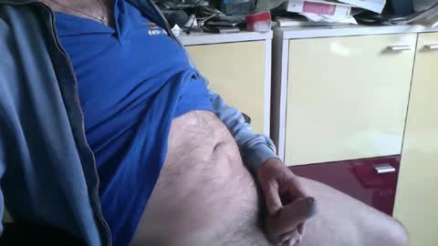 pegaso1000 online show from May 2026 08:42:02 AM