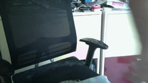 pegaso1000 online show from June 2026 09:48:02 AM