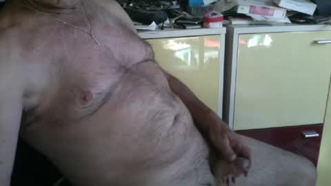 pegaso1000 online show from July 2026 07:43:01 AM