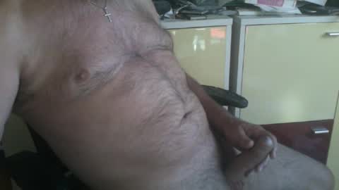 pegaso1000 online show from August 2026 07:40:02 AM