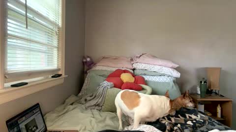 Snapshot of pegggggysue69 chatting on March 2026 07:30:02 PM pegggggysue69 online show from March 2026 07:30:02 PM