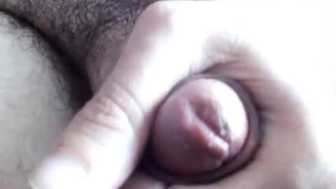 peiboluna online show from February 2025 06:28:01 AM