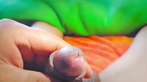 Penils online show from September 2025 07:17:01 PM