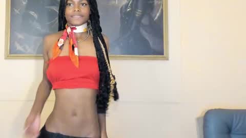 Snapshot of penpu chatting on February 2025 08:28:02 PM online show from February 2025 08:28:02 PM