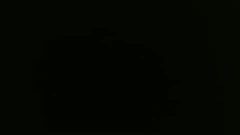 Snapshot of pepitt45 chatting on February 2026 04:58:02 PM Megan online show from February 2026 04:58:02 PM