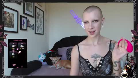 Snapshot of pepper_dagger chatting on September 2025 10:00:02 PM Pepper Dagger online show from September 2025 10:00:02 PM