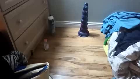 perdz768563 online show from March 2026 11:30:02 PM