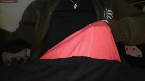 peregrintpelfox online show from February 2026 10:34:02 AM