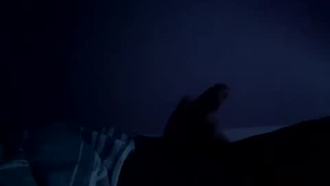 perfect427482577143 online show from February 2026 08:24:07 AM