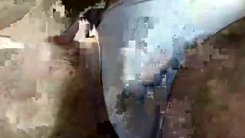 perfectFTM online show from April 2026 06:33:01 AM