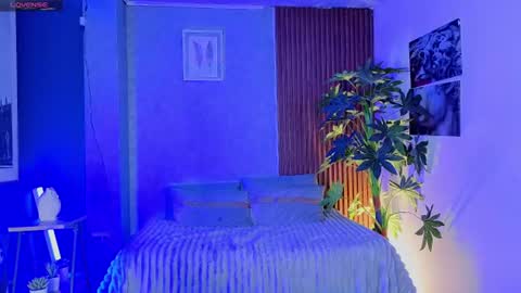  PERLA online show from June 2026 03:58:01 PM