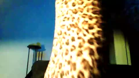 Snapshot of permageil_nackt_alt chatting on February 2026 06:51:02 PM permageil_nackt_alt online show from February 2026 06:51:02 PM