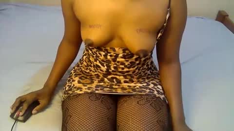 peru_queen online show from January 2026 09:33:01 AM