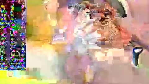 Snapshot of petardo_ chatting on December 2024 09:36:02 AM Petardo online show from December 2024 09:36:02 AM